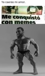 ganamos ,prros pte 2.jpg