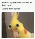 la cara d mi compa.jpg