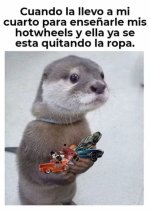 meme random d hotwheels.jpg