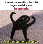 Meme random fustracion microscopica v2.jpg