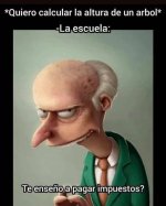 T enseño a pagar impuestos.jpg