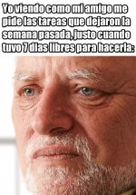 7 dias libres para hacerla ,prros.jpg