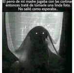 foto no sale como esperaba ,prros.jpg