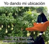 Hay un palo cargadito d Mangos v2.jpg