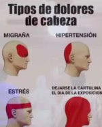 Si pasa prros v2.jpg