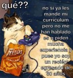 Gatomeme ver. Desempleo prros v2.jpg
