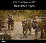 Trrigo en un trigal y tres tigres v3.1.jpg