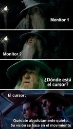 meme relatable ,prros.jpg