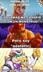 Aestetic bowser v3.jpg