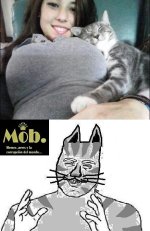 Asi d grandes ,prros.jpeg