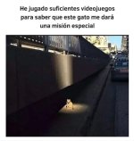 Ese gato tienen una misión secundaria ,prros v2.jpg