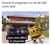 aquí fatal v2 ,prros.jpg