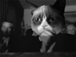 get.gif
