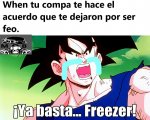 ya-basta-freezer1.jpg