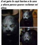 83524c7a6244becc9be0cd49176f77c2.jpg