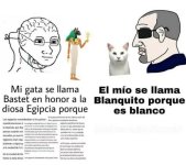 Meme de gatos v2 names prros.jpg