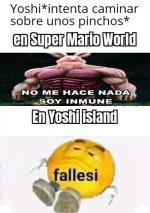 Yoshi meme v2.jpg
