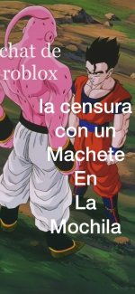 Literal ,prros v3.jpg