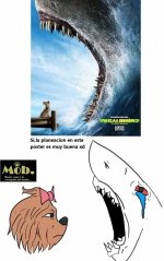 Esto no es un Repost ,prros v3.jpg