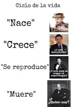 Un ciclo sin fin ,prros v2.jpg
