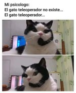 Gatomeme v gato teleoperador ,prros.jpg