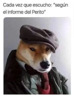 Informe del perito v2.jpg