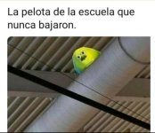la pelota que nunca bajaron.jpg