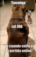 Dura realidad ,prros v4.jpeg