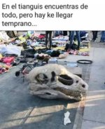 Tianguis v4.jpg