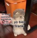 yo bien tranki v2.jpg