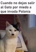 Gatomeme miedo a que invada Polonia v7.jpg