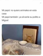Miguel.jpg