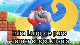 Mario elefante v5.jpg