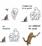 Gatito inofensivo.jpg