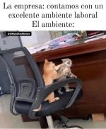 ambiente laboral , ser como v2.jpg