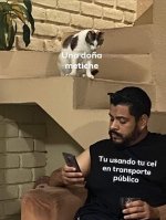 Sin titulo ,prros.jpeg
