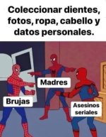 Lo que tienen en comun ,prros.jpg