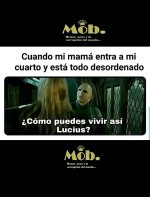 Si ,cierto prros v6.jpg