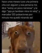 1er cita xdxd.jpg