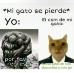 Mi gato se pierde v2.jpg