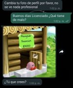 cuando tu foto d perfil no se ve nad aprofesional.jpg