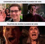 Sin titulo ,prros.jpg