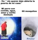 pt@ que zad v6.jpeg
