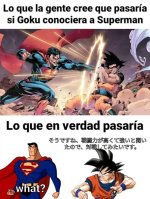 日本語で盗まれた , repost en japones prros.jpg