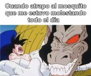 cuando atrapo al mosquito.jpg