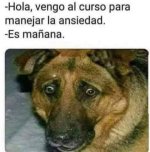 Es mañana.jpeg
