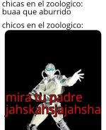 chicas y chicos en el zoo.jpg