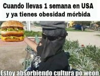 Mimm sin titulo ,prros v3.jpg