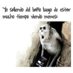 xdxdxdxdxdxdxdxdxd.jpeg