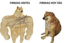 Firmas ser como prros.jpg